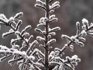 В Башкирии ожидается снег и -6 градусов