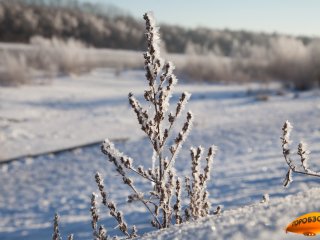 Синоптики Башкирии обещают снежную погоду