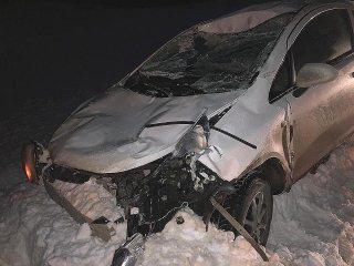 В Башкирии мужчина насмерть сбил лося