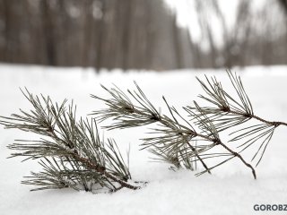 В Башкирии ожидается ухудшение погоды