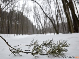 Синоптики Башкирии рассказали, что в феврале может быть плюсовая погода