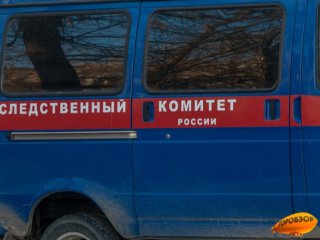 Следком Башкирии начал проверку по факту избиения беременной девушки