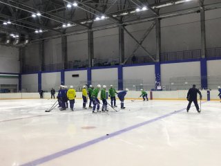 Сошников пропускает тренировку «Салавата Юлаева»

