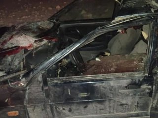 Стали известны подробности  смертельного ДТП, где погиб водитель после наезда на табун лошадей