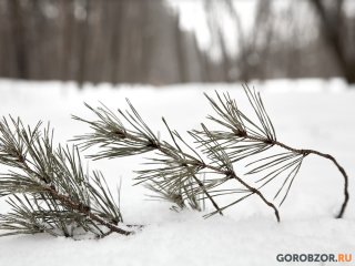 В Башкирии из-за циклона изменится погода и снова ударят морозы