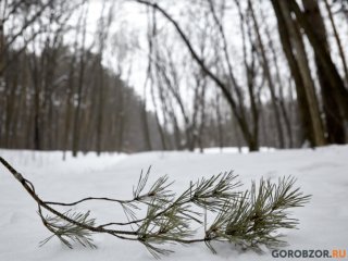 В Башкирии ожидаются снег и гололед