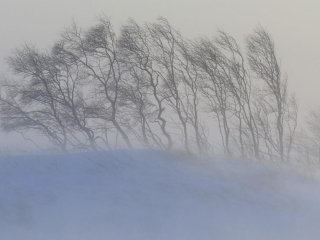 В Башкирии пообещали низкую температуру, метели и сильный ветер