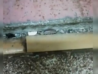  В Башкирии жители сняли на видео насекомых в городской больнице