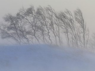 В Уфе сняли режим чрезвычайной ситуации 