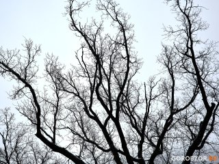 МЧС: в Башкирии ожидается ухудшение погодных условий
