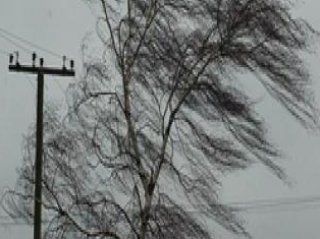 В МЧС по Башкирии предупредили о штормовом ветре 