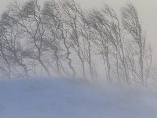 В МЧС предупреждают о плохой видимости на дорогах