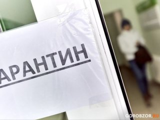 Минздрав Башкирии сообщил о карантине в десяти больницах республики