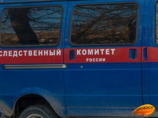 В Башкирии 28-летний мужчина жестоко зарезал свою знакомую 
