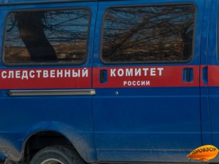 В Башкирии мужчина ограбил беременную от него 15-летнюю школьницу