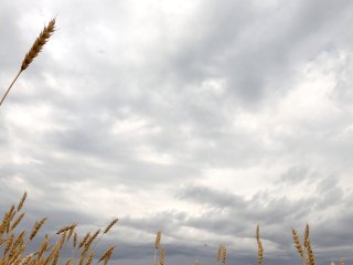 В Башкирии ожидается ухудшение погодных условий