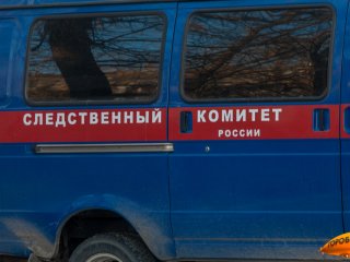 В Башкирии погибла 14-летняя девочка, ещё одна госпитализирована