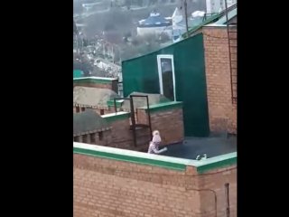 В Уфе девочка во время самоизоляции из-за коронавируса выгуливала собаку на крыше (ВИДЕО)