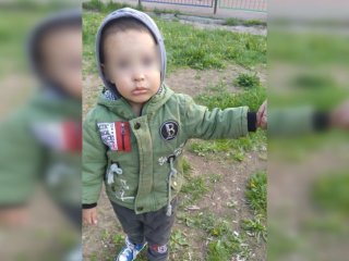 Маму просидевшего два часа на улице 2-летнего ребенка могут лишить родительских прав