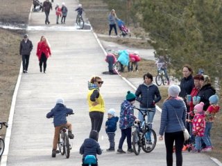 Стало известно, когда могут заработать кинотеатры и торговые центры в России