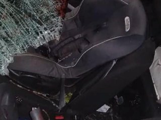 В Башкирии 3-летний мальчик пострадал в ДТП с лосем 