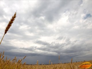 В Башкирии объявлено штормовое предупреждение 