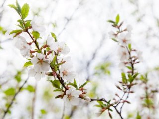 В Башкирии ожидаются жара и грозы