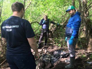 В Башкирии в лесу найдено закопанное тело пропавшей женщины