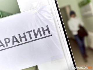В России туризм начнет поэтапный выход из карантина с 1 июня