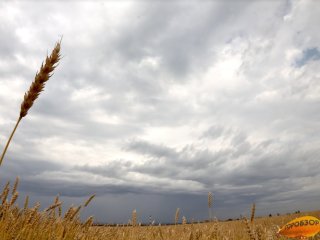МЧС по Башкирии опубликовало предупреждение о резком ухудшении погоды