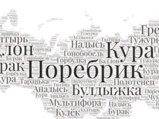 В России определили топ популярных слов в регионах