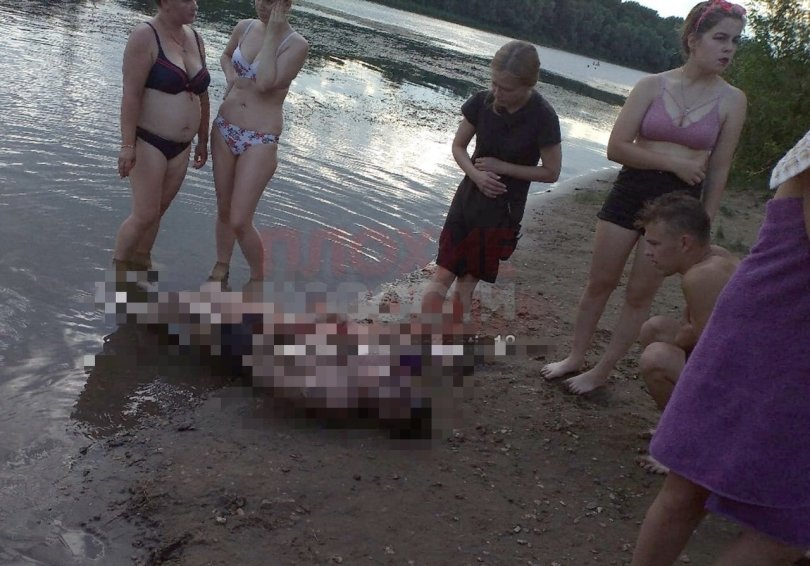 В Башкирии к пляжу прибило тело мужчины, окутанное водорослями В Башкирии к пляжу прибило тело мужчины, окутанное водорослями