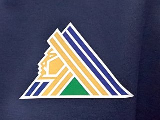 Александр Курносов объяснил решение о смене логотипа