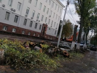 Власти Уфы объяснили вырубку насаждений на Советской площади