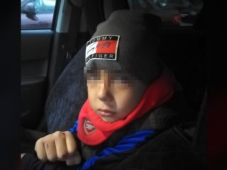 «Сбили моего ребенка»: член СПЧ в Башкирии просит власти Уфы установить зебру около школы