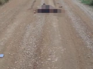 В Башкирии от наезда погибла девушка и 20-летний парень