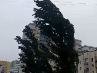 В Башкирии пообещали штормовой ветер