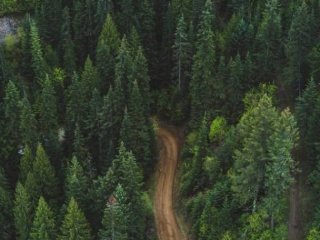 В Башкирии стартовала профилактическая акция «Чистый лес»