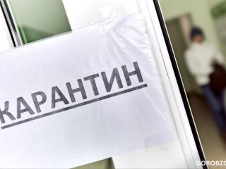 В ВОЗ оценили необходимость повторного карантина