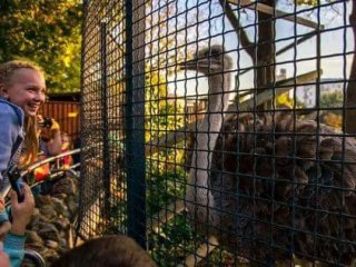 Андрей Назаров ответил на критику по поводу строительства зоопарка