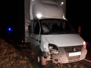 В Башкирии грузовик насмерть сбил 36-летнего мужчину