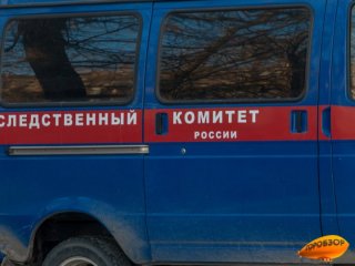 В Башкирии нашли обглоданное животными тело женщины