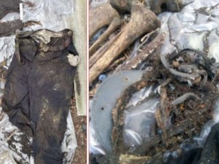 В Башкирии нашли скелетированные останки человека