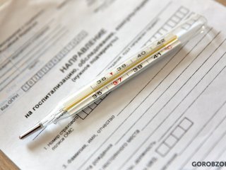 В Башкирии увеличилось число заболевших коронавирусом