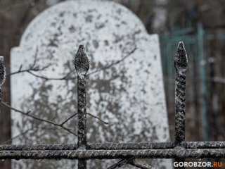 В Башкирии зафиксирована аномальная смертность