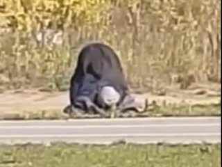 Жителей Уфы испугал мужчина, который волоком тащил тело в лес (ВИДЕО)