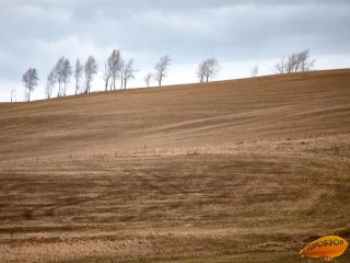 Синоптики пообещали сухую, но ветренную погоду