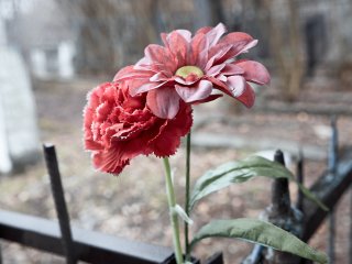 В Башкирии число умерших от коронавируса достигло 81