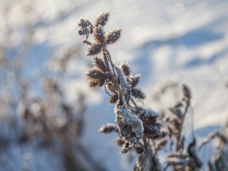 В Башкирии ожидается гололед и потепление до -3°