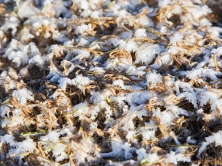 В Башкирии прогнозируется похолодание до -25°